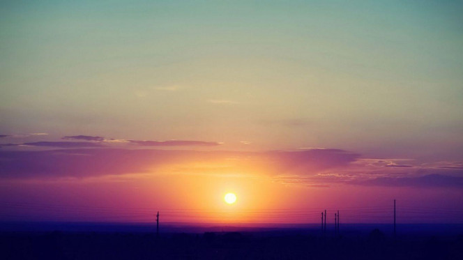 一张美味的图片 · #2807