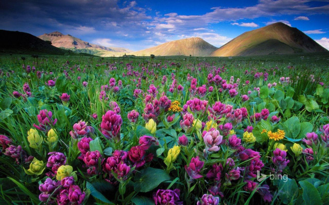 一张美味的图片 · #3863