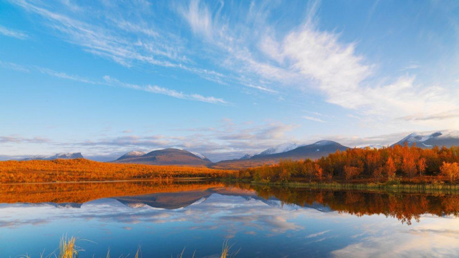 一张美味的图片 · #3309