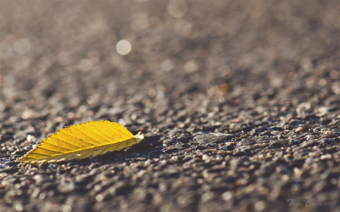 一张美味的图片 · #3956