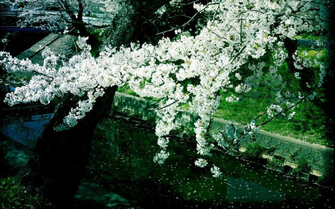 一张美味的图片 · #3091