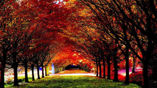 一张美味的图片 · #3301