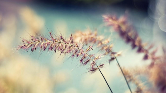 一张美味的图片 · #261