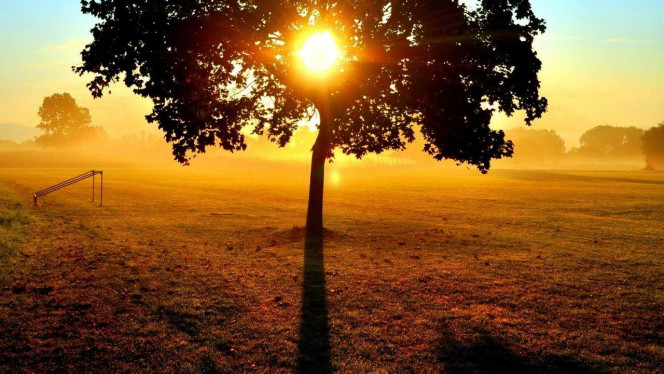 一张美味的图片 · #1931