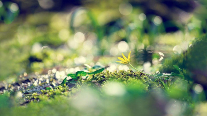 一张美味的图片 · #3450