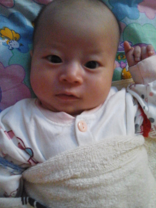 一张美味的图片 &middot; #5179