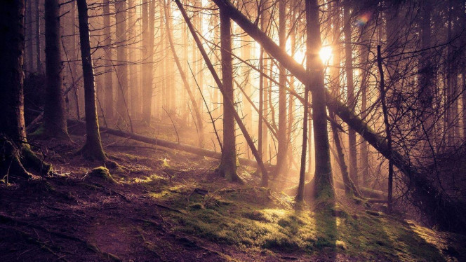 一张美味的图片 · #2945