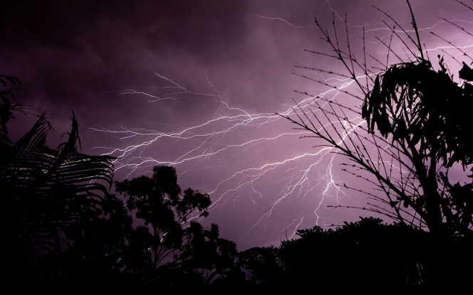 一张美味的图片 · #2346