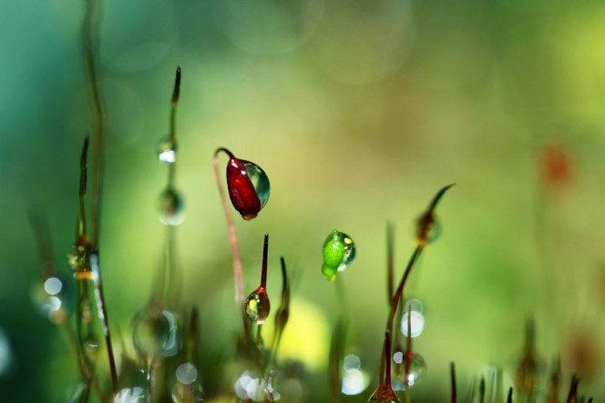 一张美味的图片 · #2874