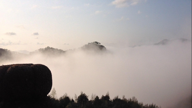 一张美味的图片 · #3661