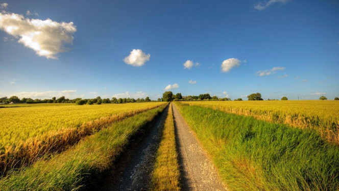 一张美味的图片 · #2916