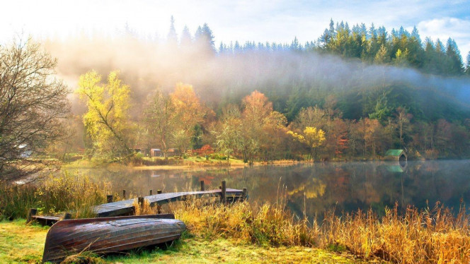 一张美味的图片 · #2939