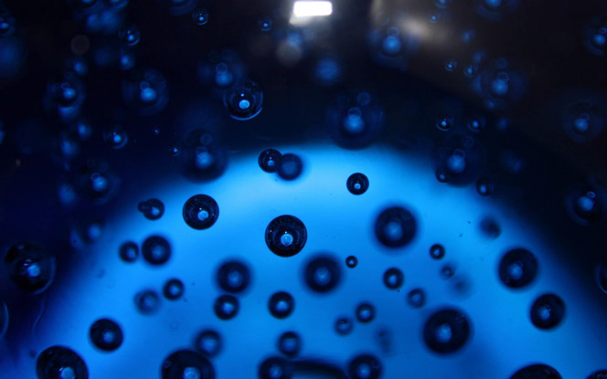 一张美味的图片 · #58