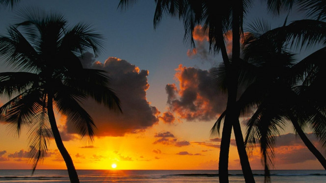 一张美味的图片 · #4581