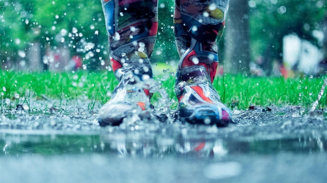 一张美味的图片 · #2765