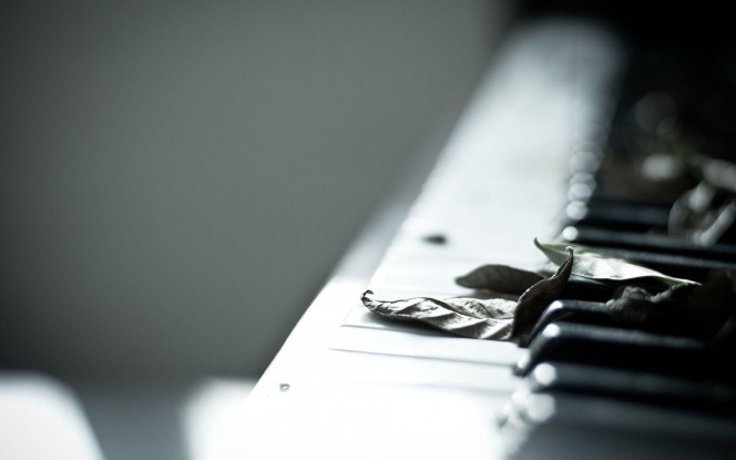 一张美味的图片 · #2866