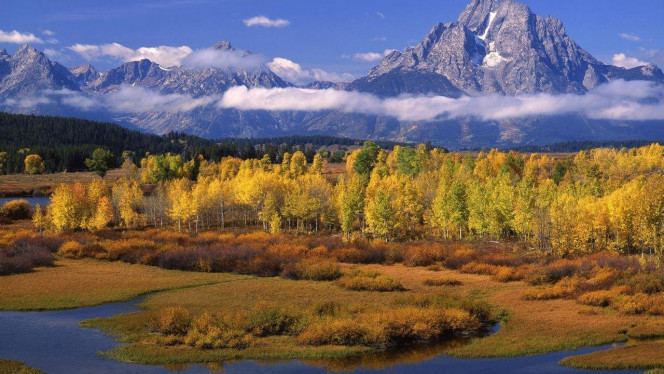 一张美味的图片 · #4258