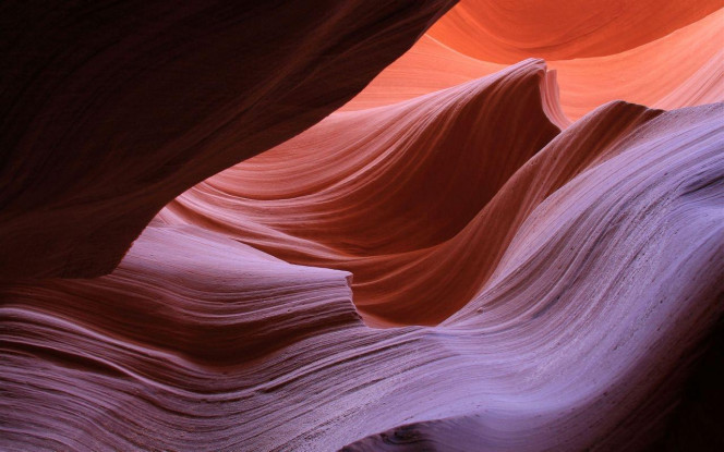 一张美味的图片 · #2155