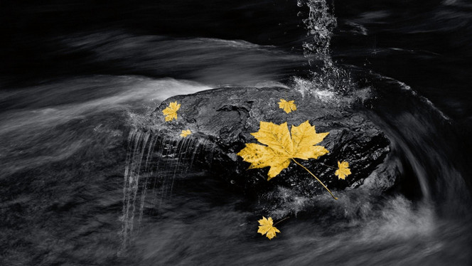 一张美味的图片 · #3313