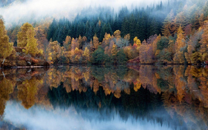 一张美味的图片 · #4034