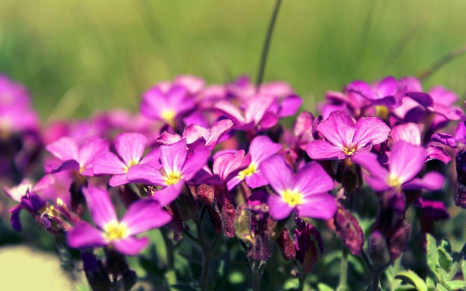 一张美味的图片 · #4263