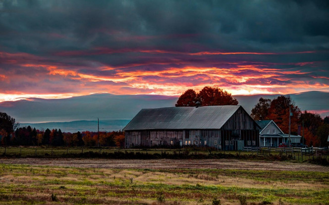 一张美味的图片 · #2615