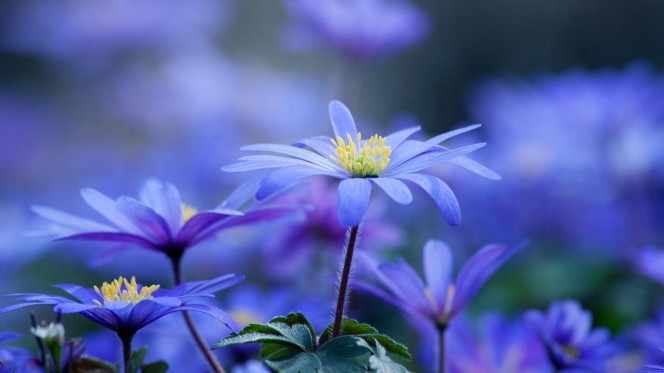 一张美味的图片 · #3513