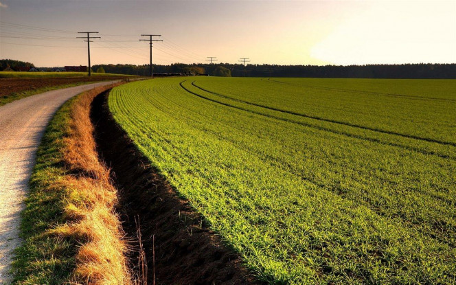 一张美味的图片 · #2661