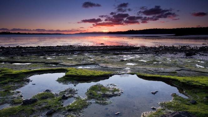 一张美味的图片 · #2706