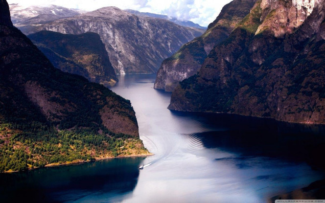 一张美味的图片 · #3126