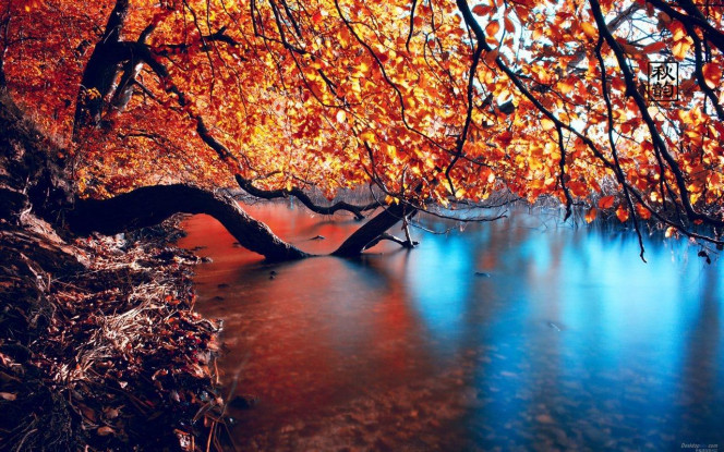 一张美味的图片 · #4022