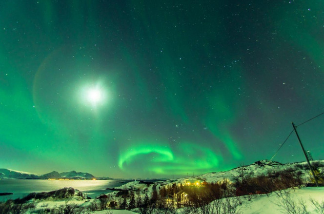 一张美味的图片 · #3568