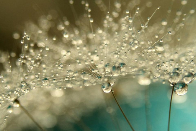 一张美味的图片 · #2850