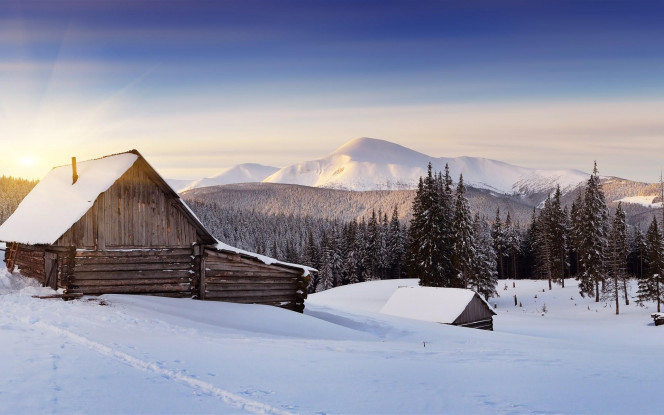 一张美味的图片 · #4085