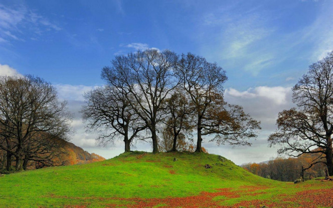 一张美味的图片 · #2992