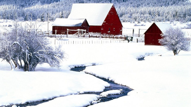 一张美味的图片 · #2463