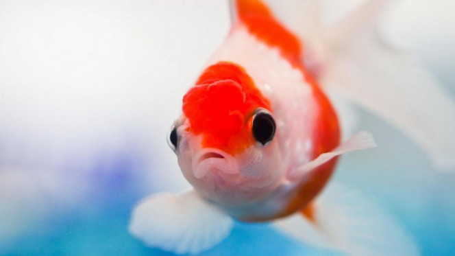 一张美味的图片 · #2840