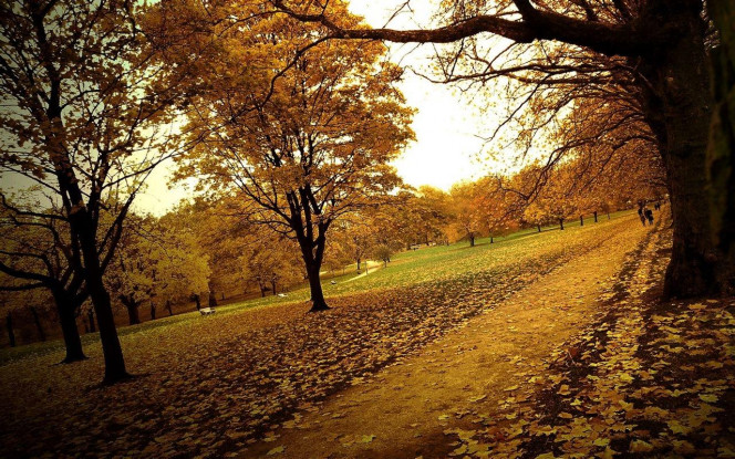 一张美味的图片 · #2472