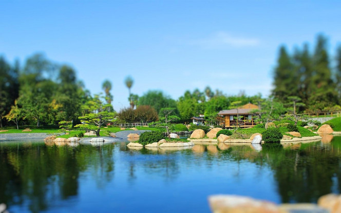 一张美味的图片 · #2742