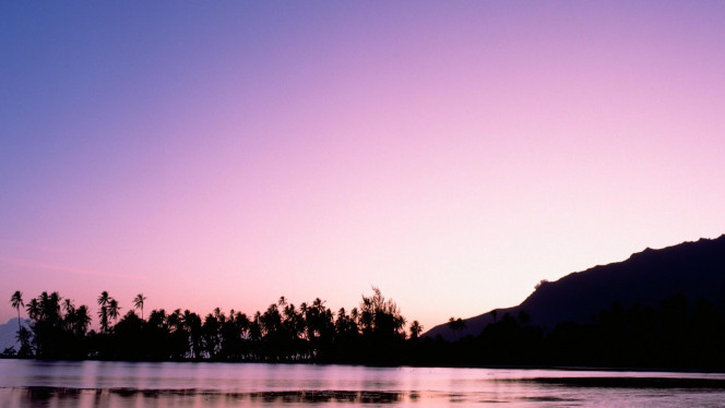 一张美味的图片 · #4076