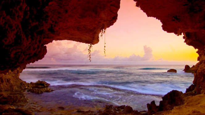 一张美味的图片 · #4147