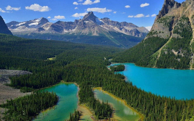 一张美味的图片 · #4449