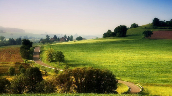 一张美味的图片 · #3667