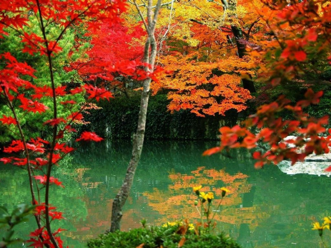A Delicious image · #837