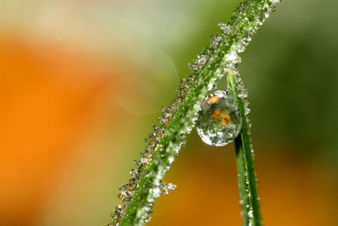 A Delicious image · #2875