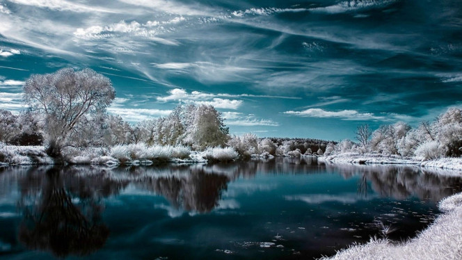 A Delicious image · #4192