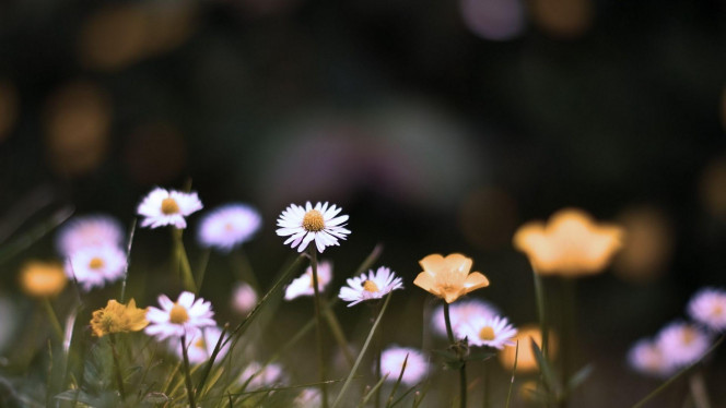 A Delicious image · #2398