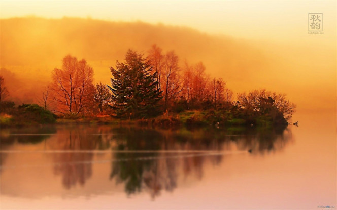 A Delicious image · #4044