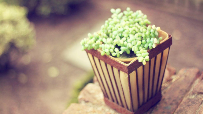 A Delicious image · #3467