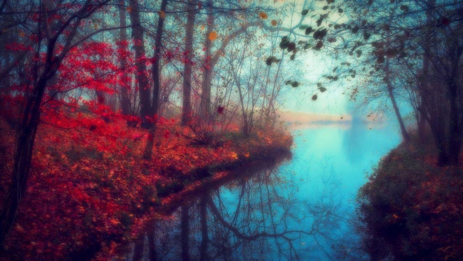 A Delicious image · #3318